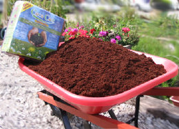 Coconut Coir